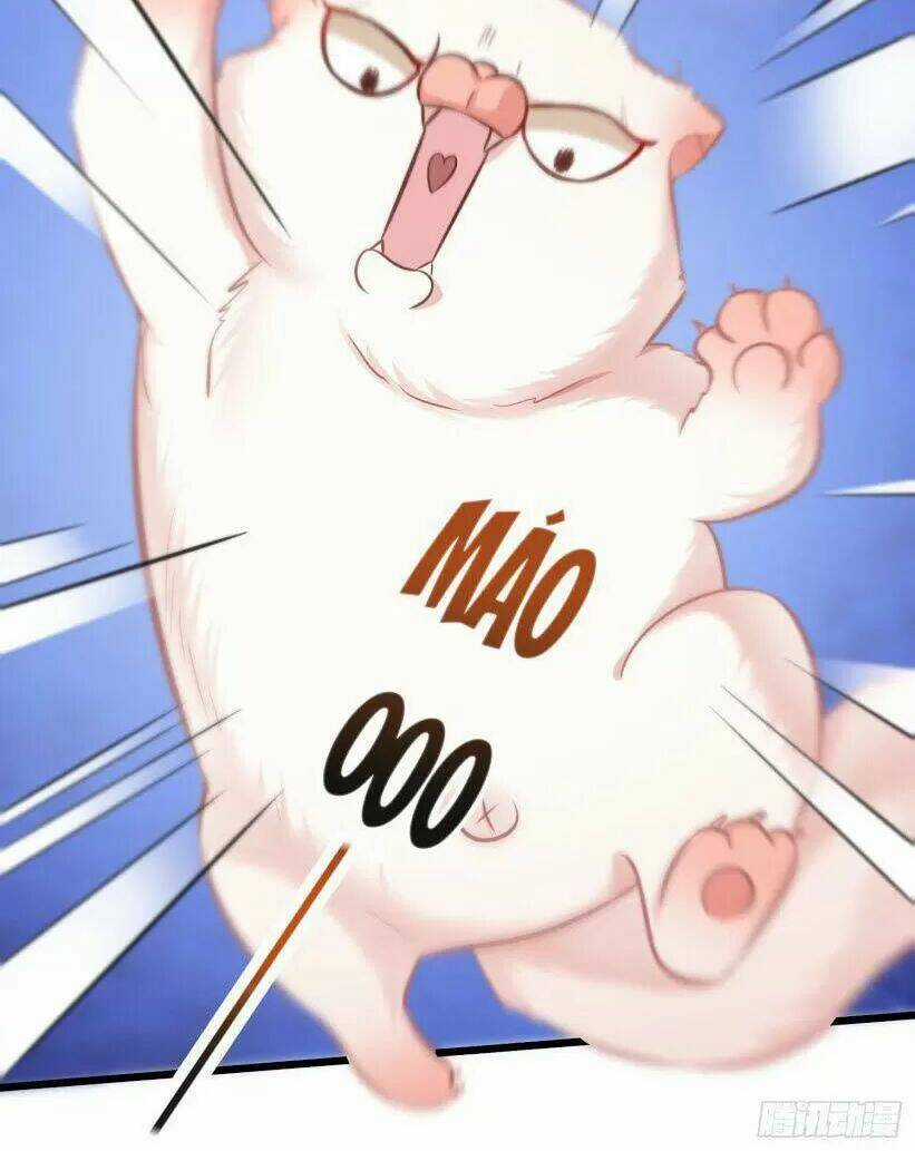 Con Đường Hoang Dã Của Vương Phi Chapter 9 trang 7