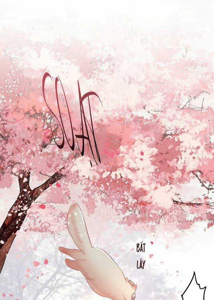 Con Đường Hoang Dã Của Vương Phi Chapter 9 trang 8