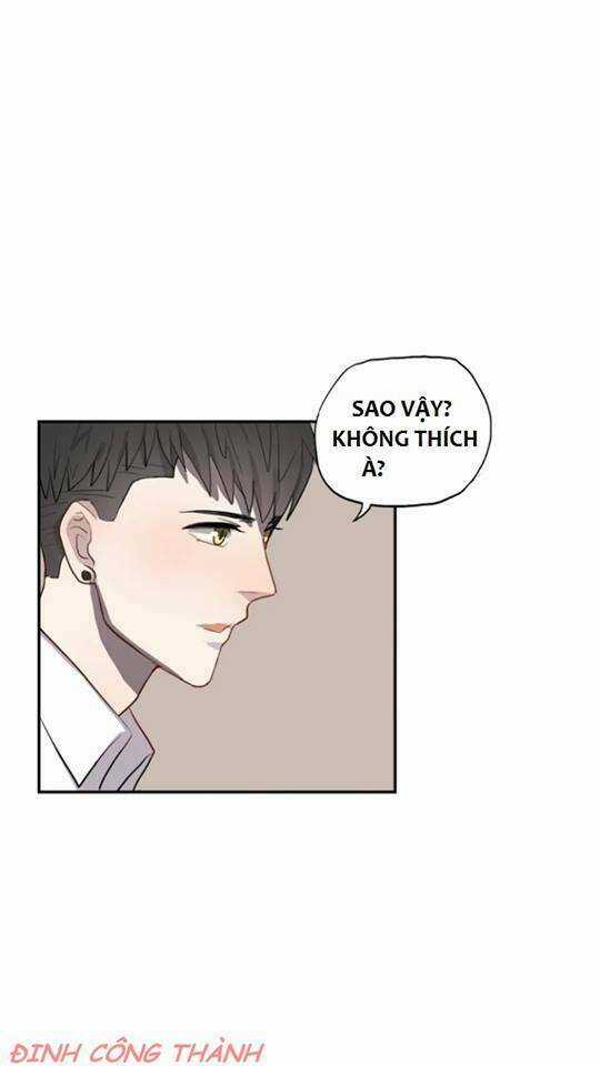 Con Đường Màu Đen Chapter 5 trang 11