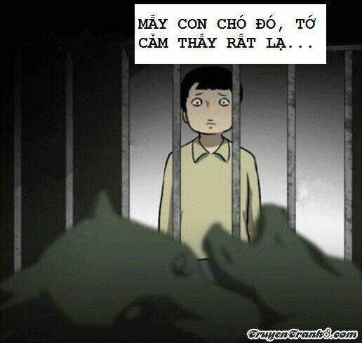 Con Đường Sau Núi Chapter 5 trang 11