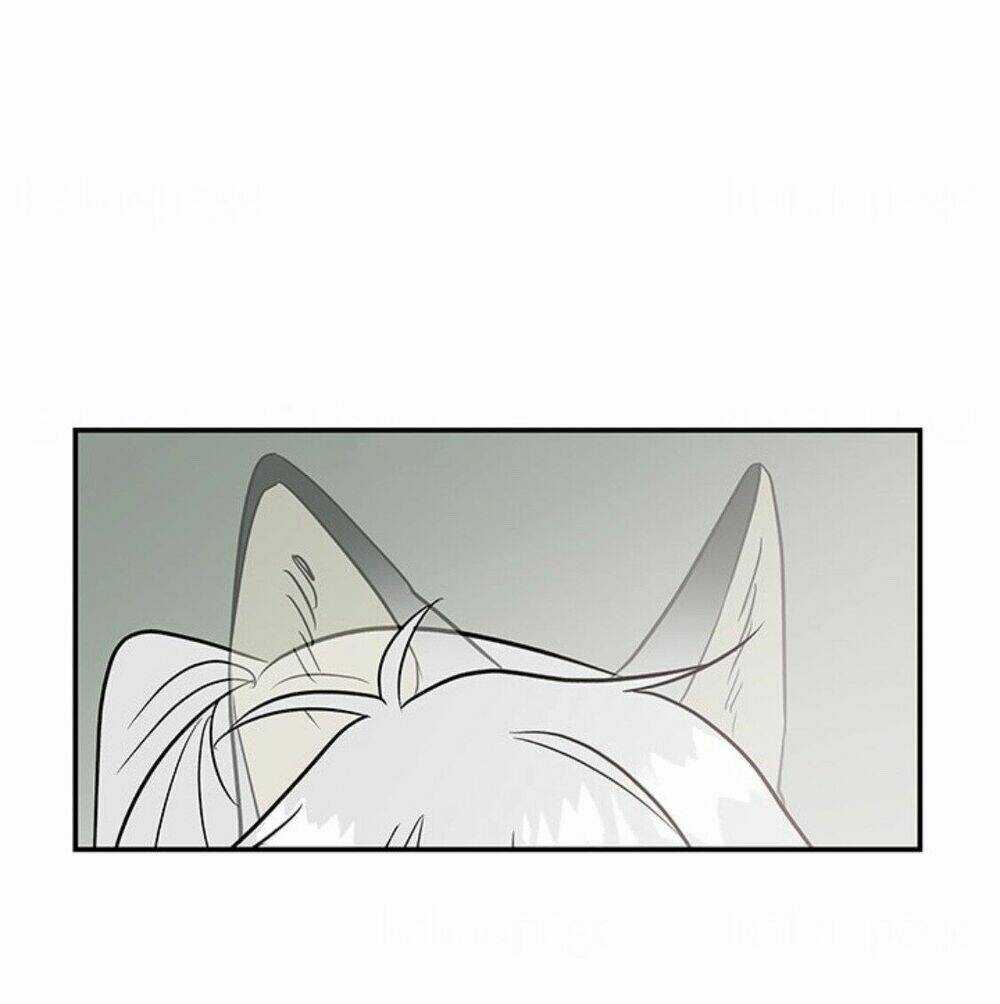 Con Gái Của Đại Pháp Sư Chapter 10 trang 29