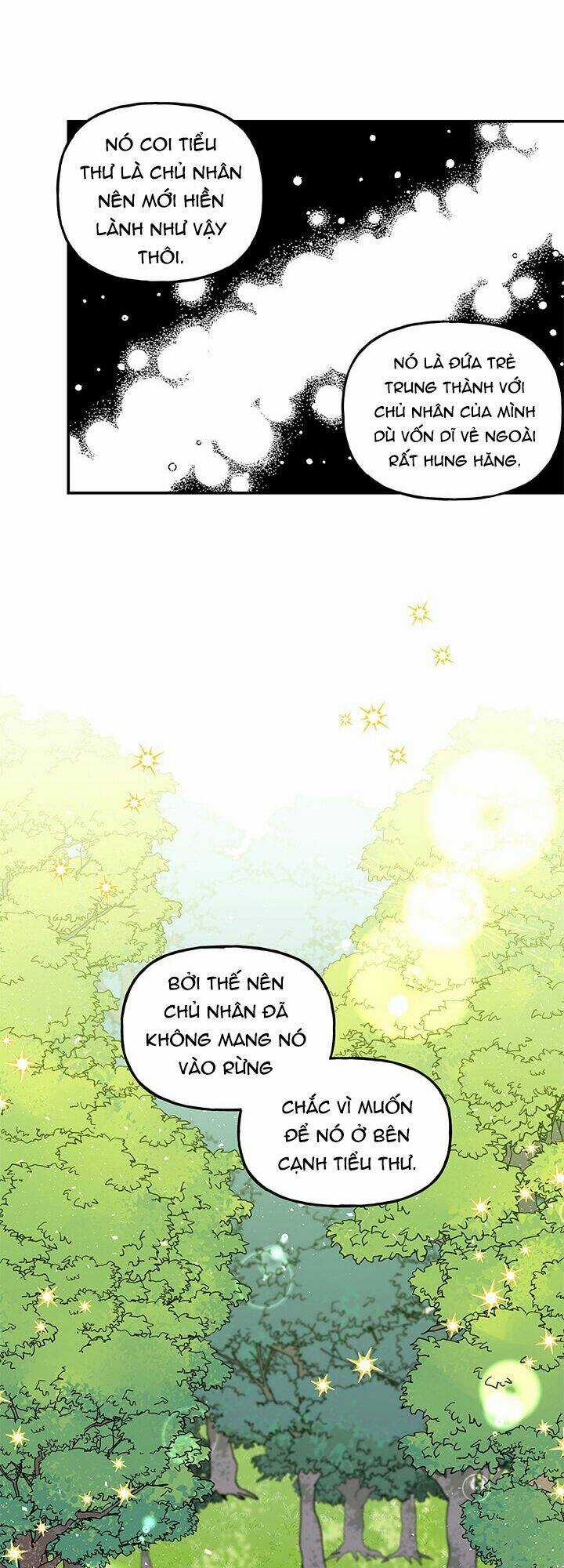 Con Gái Của Đại Pháp Sư Chapter 35 trang 19