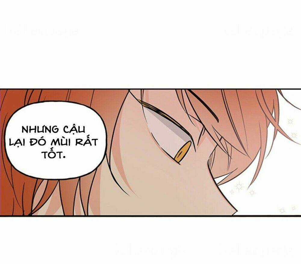 Con Gái Của Đại Pháp Sư Chapter 5 trang 18