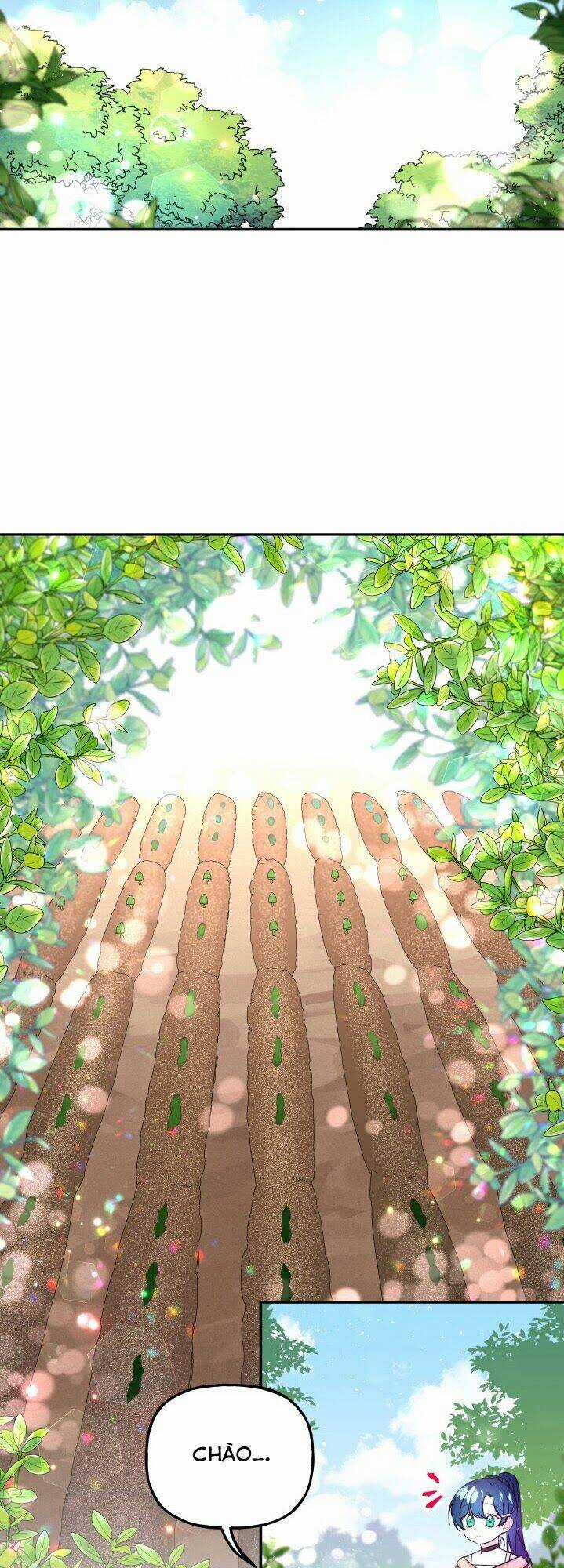 Con Gái Của Đại Pháp Sư Chapter 62 trang 42