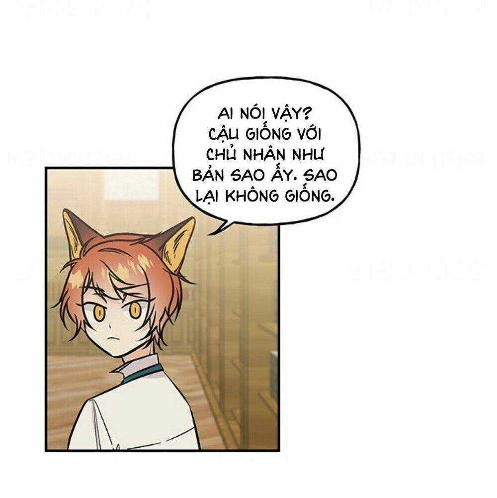 Con Gái Của Đại Pháp Sư Chapter 8 trang 8