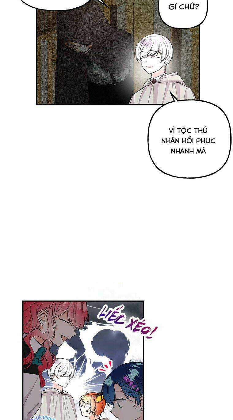 Con Gái Của Đại Pháp Sư Chapter 82 trang 28