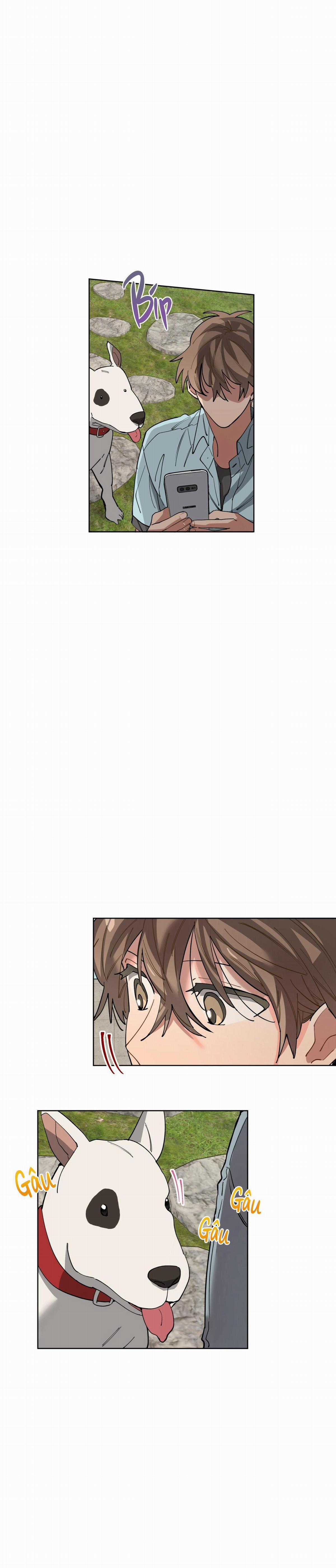 Cơn Mưa Rào Chapter 62 trang 12