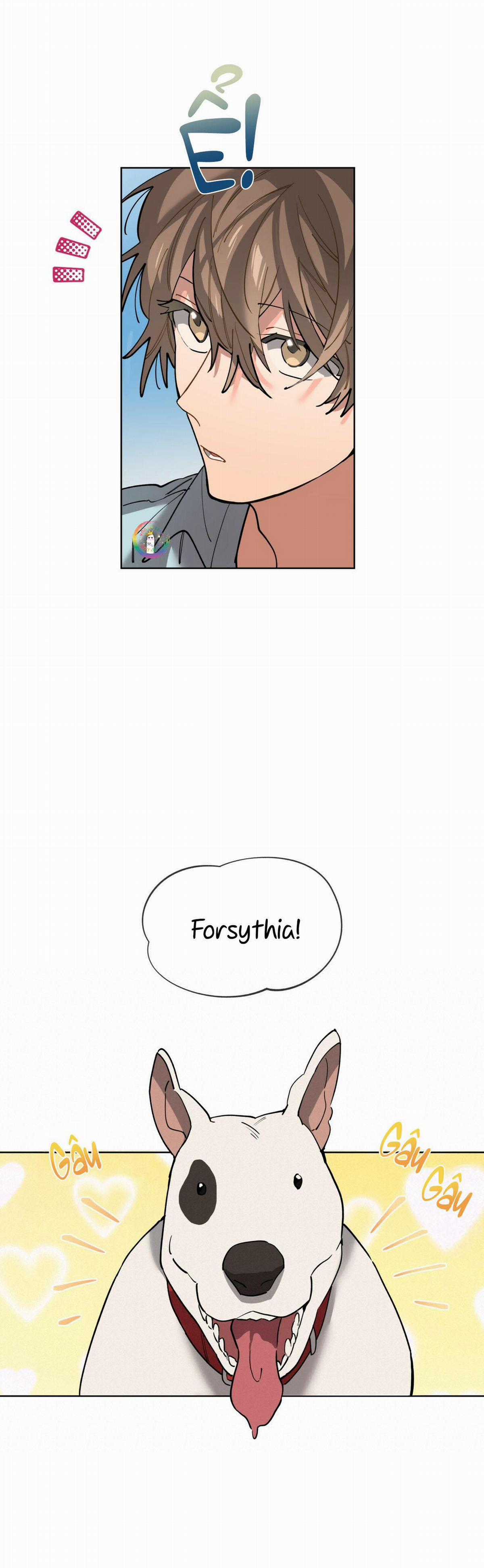 Cơn Mưa Rào Chapter 62 trang 4