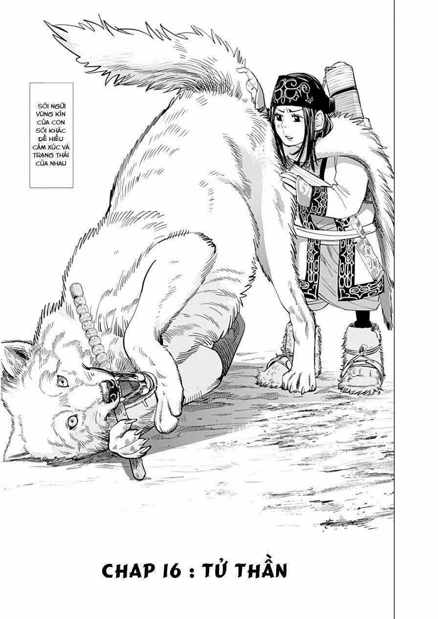 Cơn Sốt Vàng Sau Chiến Tranh Chapter 16 trang 0