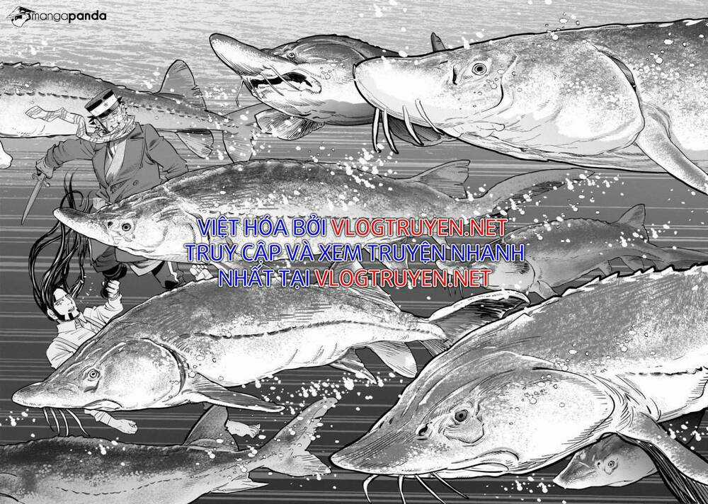 Cơn Sốt Vàng Sau Chiến Tranh Chapter 237 trang 13