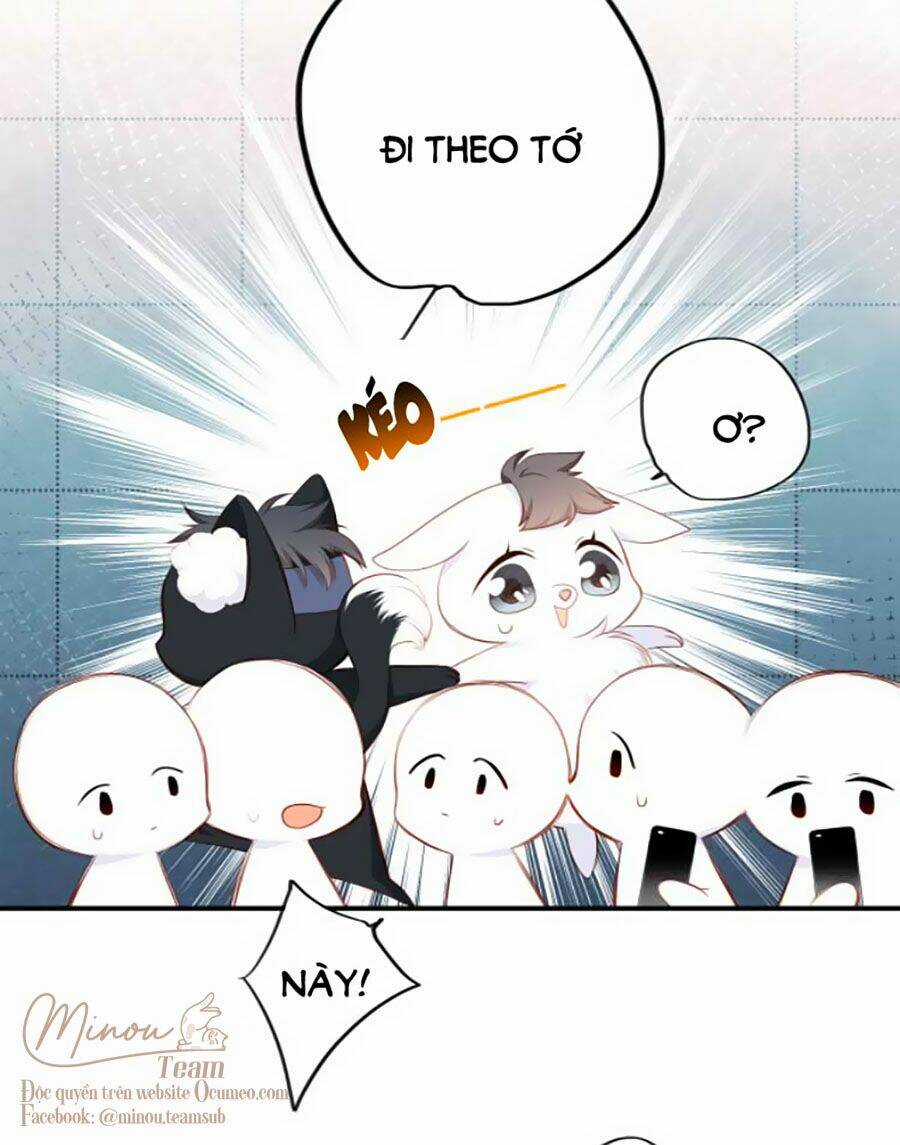 Con Tim Rung Động 3 Chapter 11 trang 12