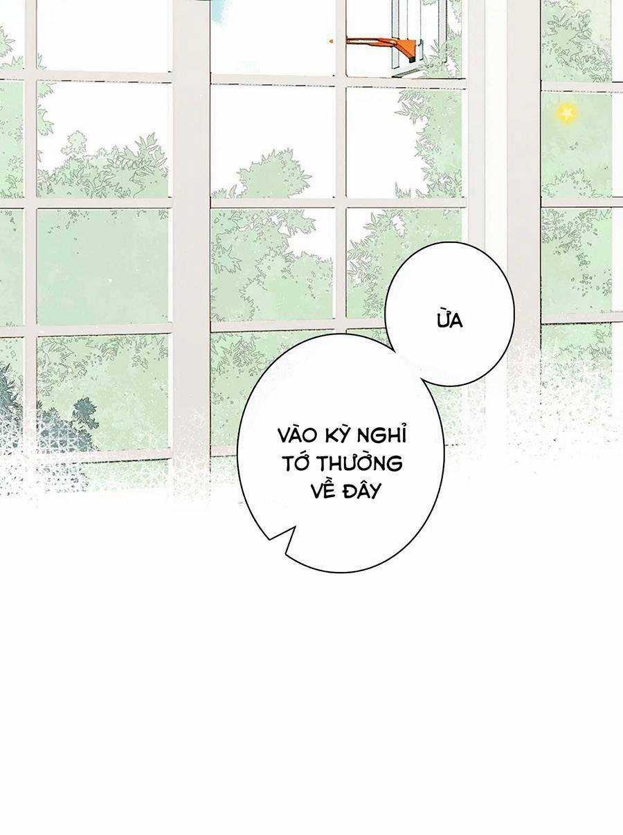 Con Tim Rung Động 3 Chapter 32.1 trang 19