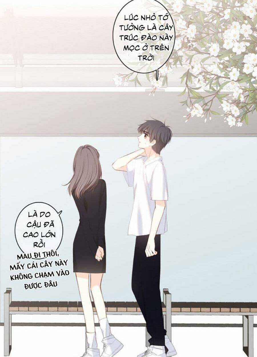 Con Tim Rung Động 3 Chapter 33 trang 14