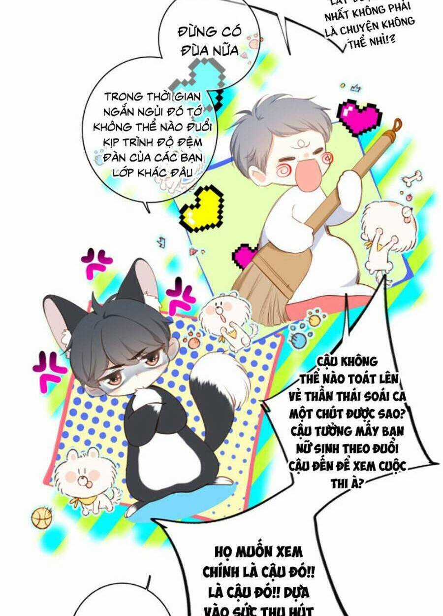 Con Tim Rung Động 3 Chapter 35 trang 5