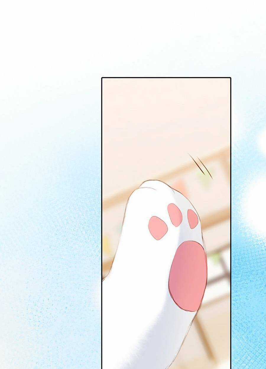 Con Tim Rung Động 3 Chapter 37 trang 43