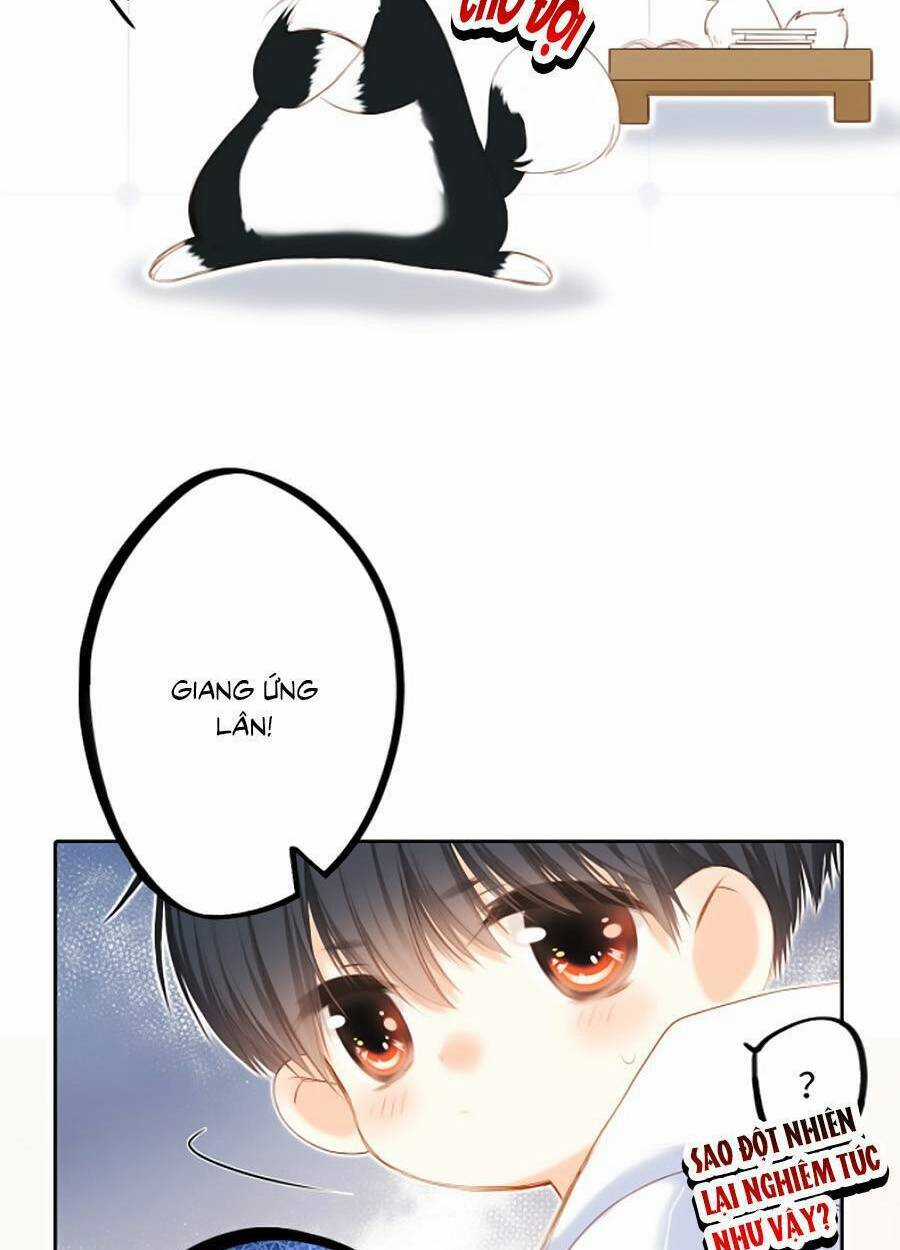 Con Tim Rung Động 3 Chapter 38.2 trang 66