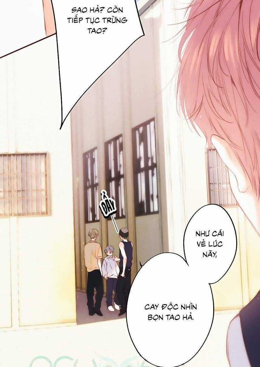 Con Tim Rung Động 3 Chapter 41.5 trang 14