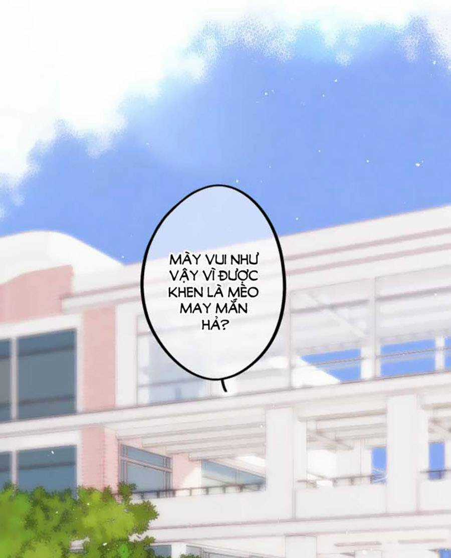 Con Tim Rung Động 3 Chapter 41.8 trang 17