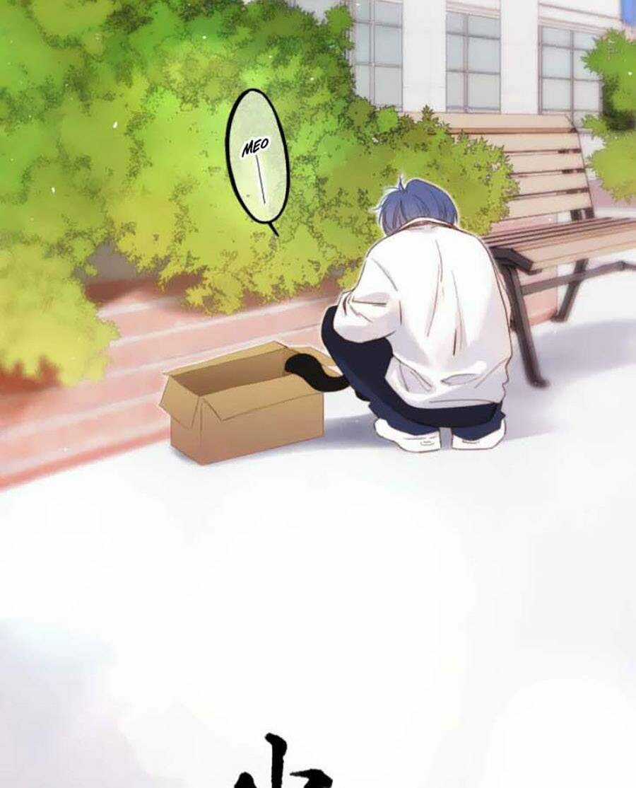 Con Tim Rung Động 3 Chapter 41.8 trang 18