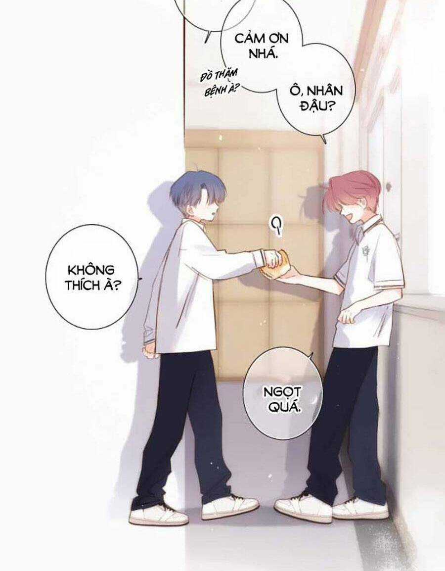 Con Tim Rung Động 3 Chapter 41.8 trang 50