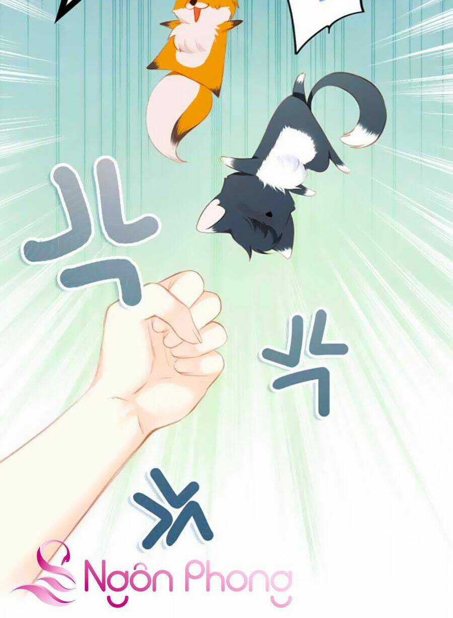 Con Tim Rung Động 3 Chapter 8.1 trang 31