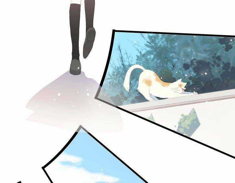 Con Tim Rung Động Chapter 16 trang 19