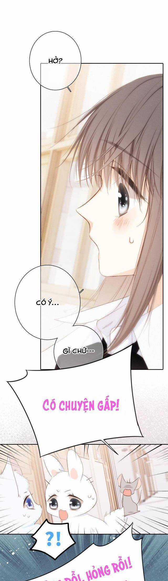 Con Tim Rung Động Chapter 167 trang 37