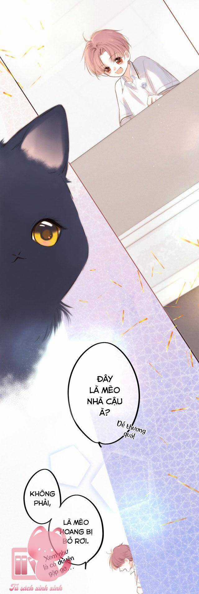 Con Tim Rung Động Chapter 181 trang 3