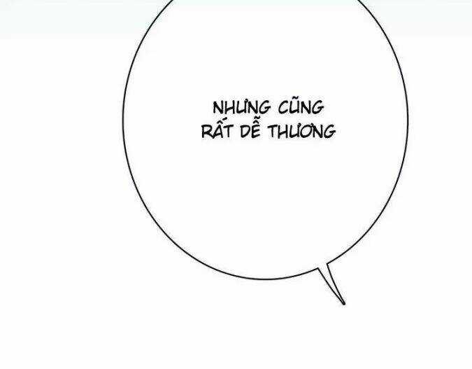 Con Tim Rung Động Chapter 25 trang 72