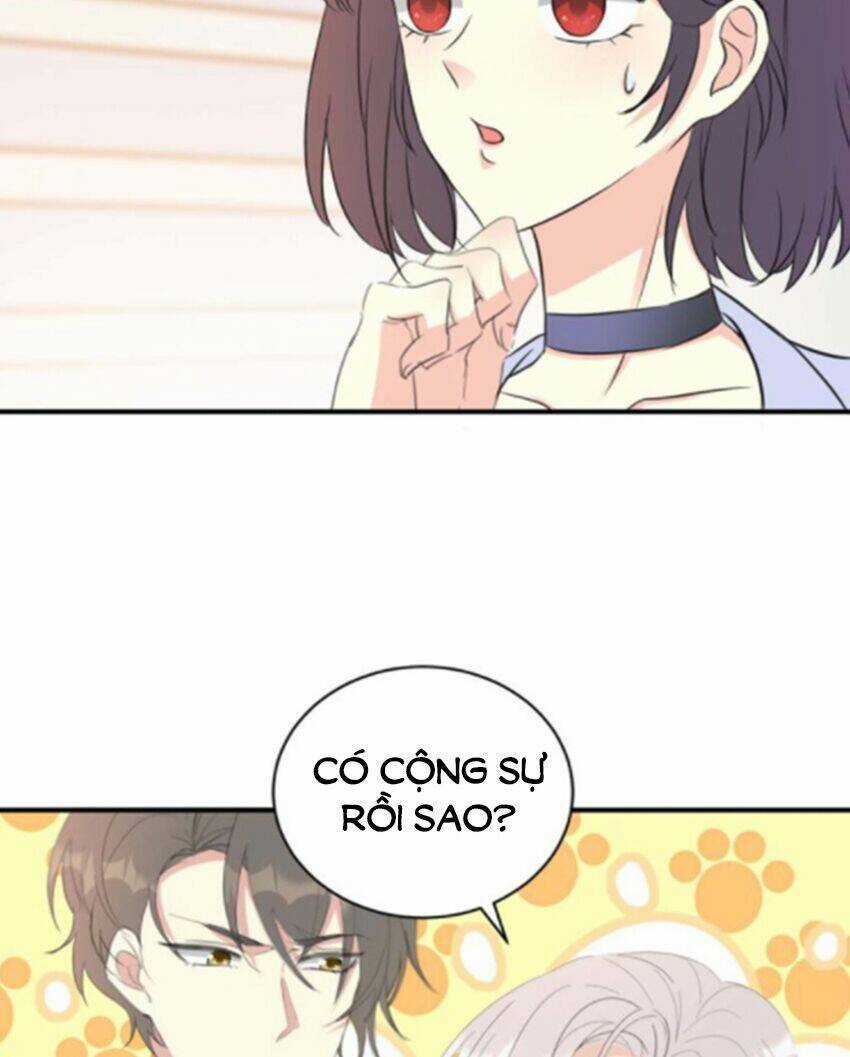 Con Trai Tôi Là Thần Tượng Hàng Đầu Chapter 19 trang 15