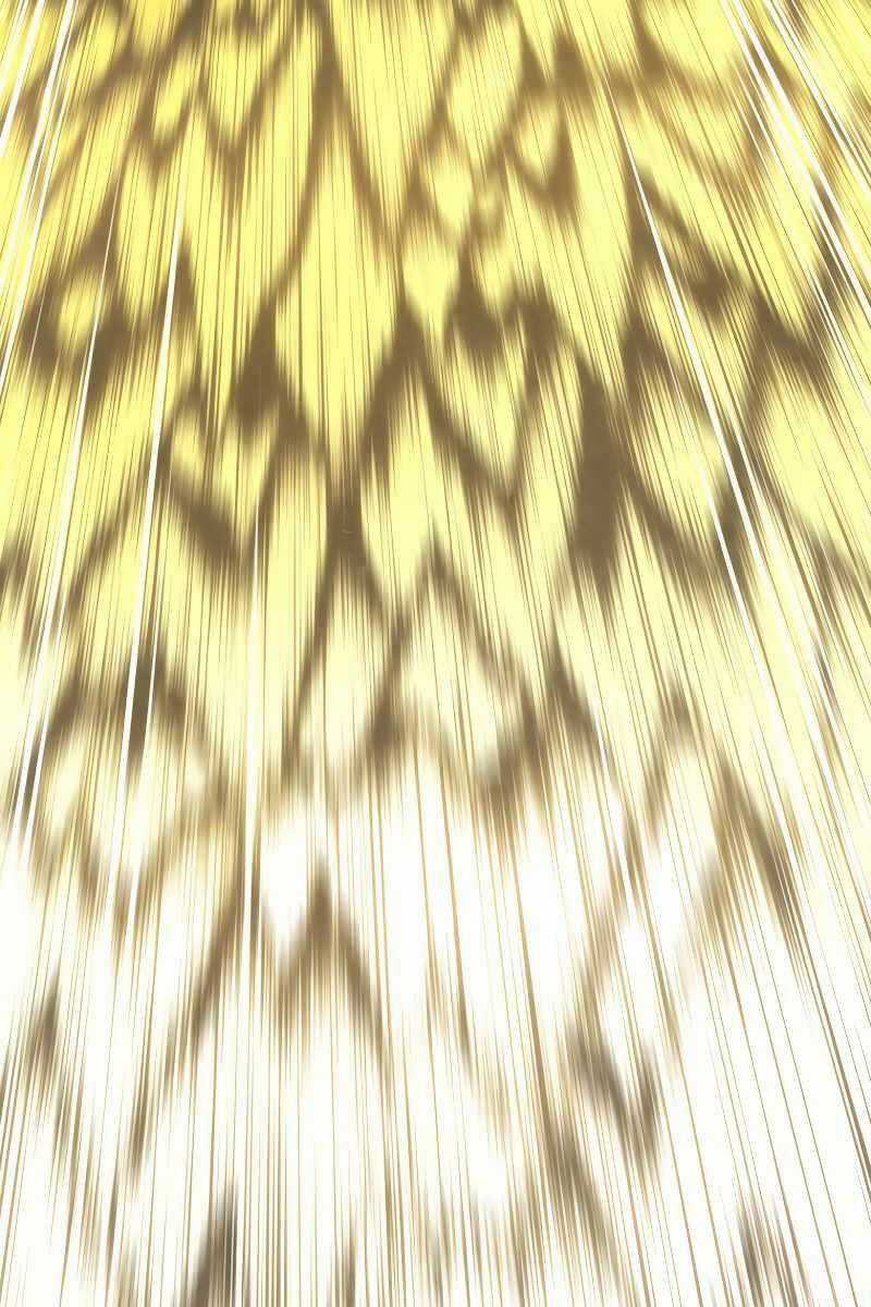 Con Trai Út Của Gia Đình Kiếm Thuật Danh Tiếng Chương 84 trang 137