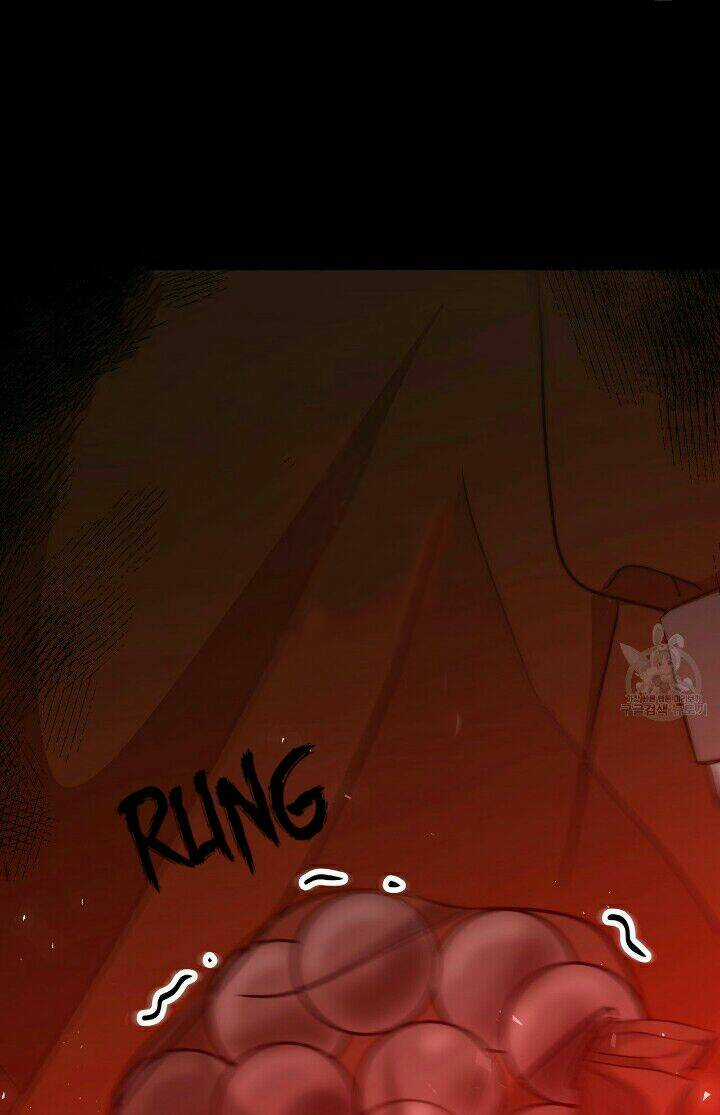 Công Chúa Bị Lãng Quên Muốn Sống Trong Hòa Bình Chapter 26 trang 13