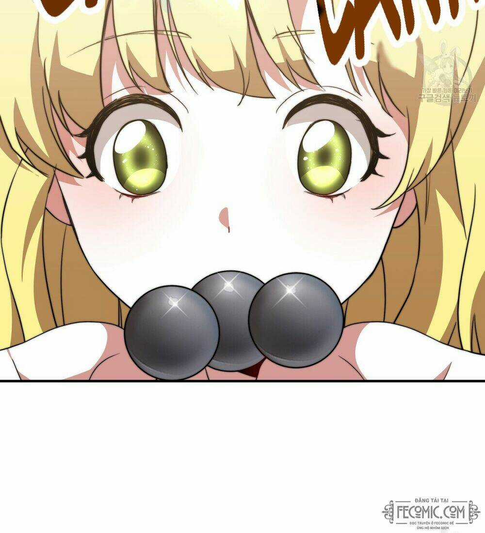 Công Chúa Bị Lãng Quên Muốn Sống Trong Hòa Bình Chapter 30 trang 29