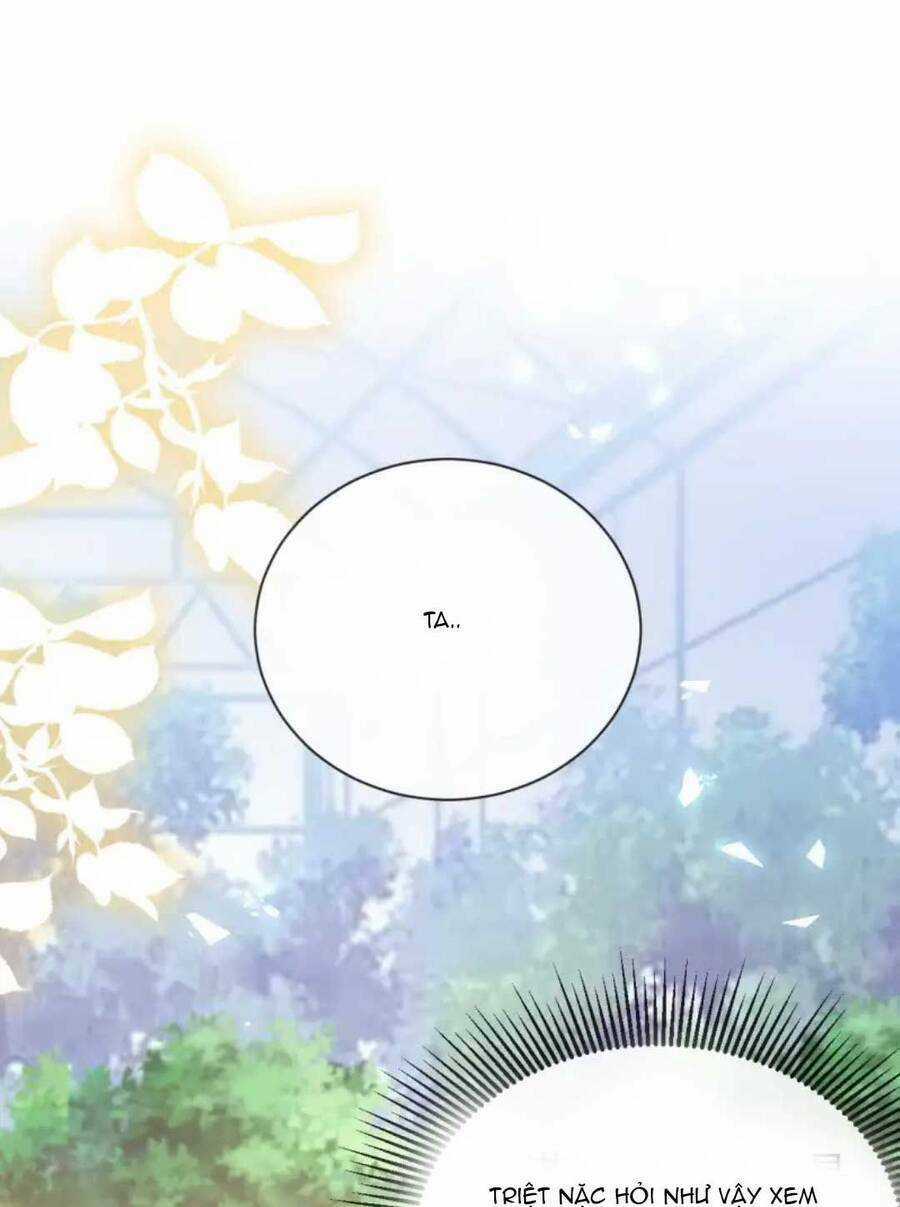 Công Chúa Bị Ruồng Bỏ Chapter 19 trang 15