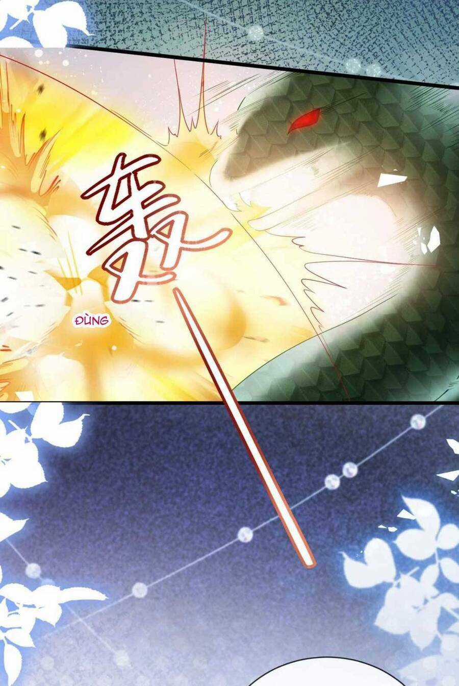 Công Chúa Bị Ruồng Bỏ Chapter 25 trang 5