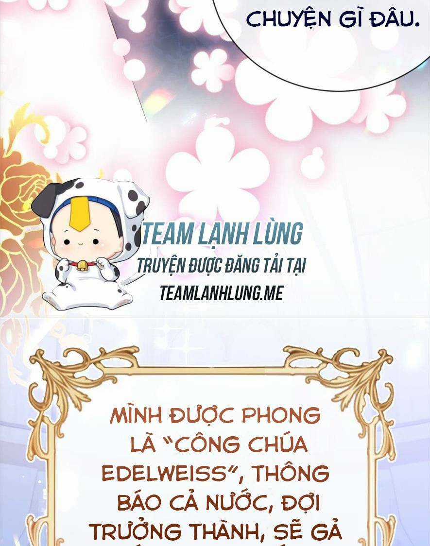 Công Chúa Bị Ruồng Bỏ Chapter 40 trang 24
