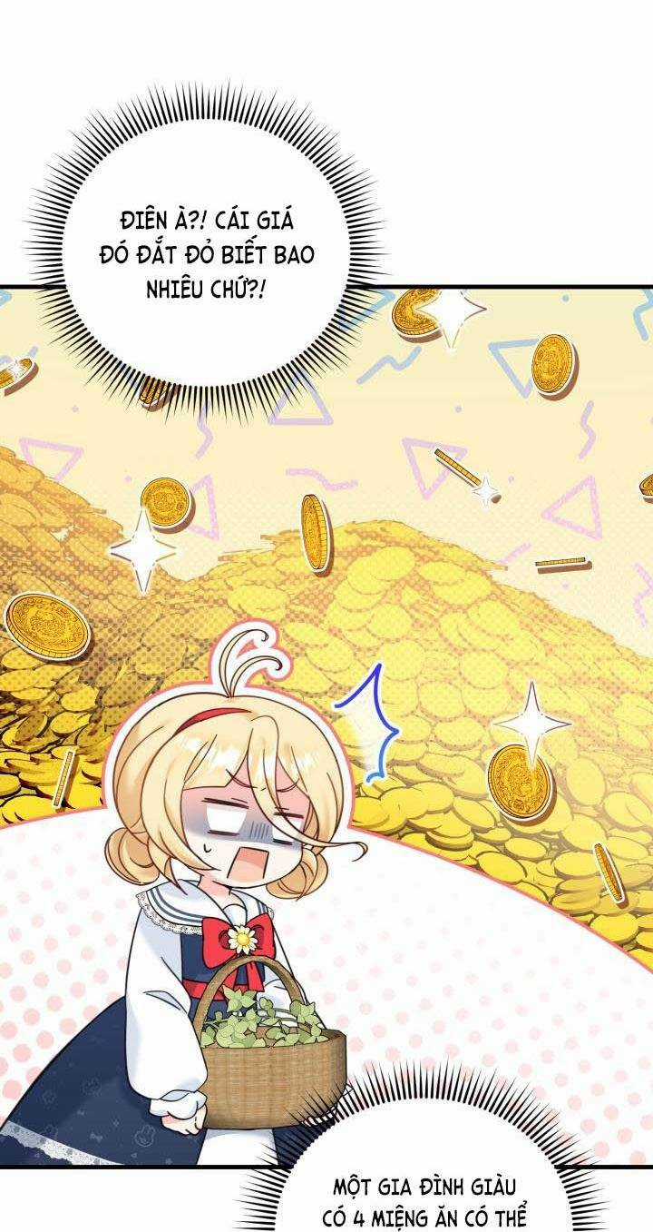 Công Chúa Dược Sĩ Bé Con Chapter 17 trang 63