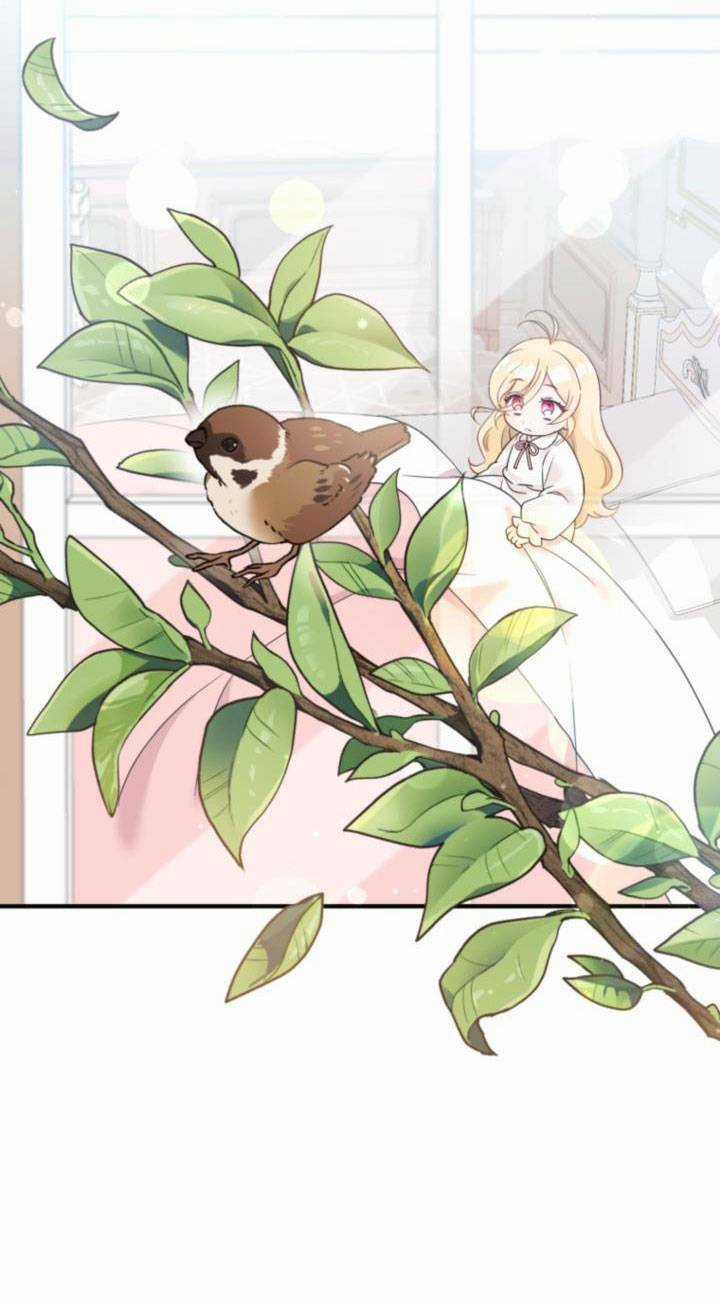 Công Chúa Dược Sĩ Bé Con Chapter 5 trang 7