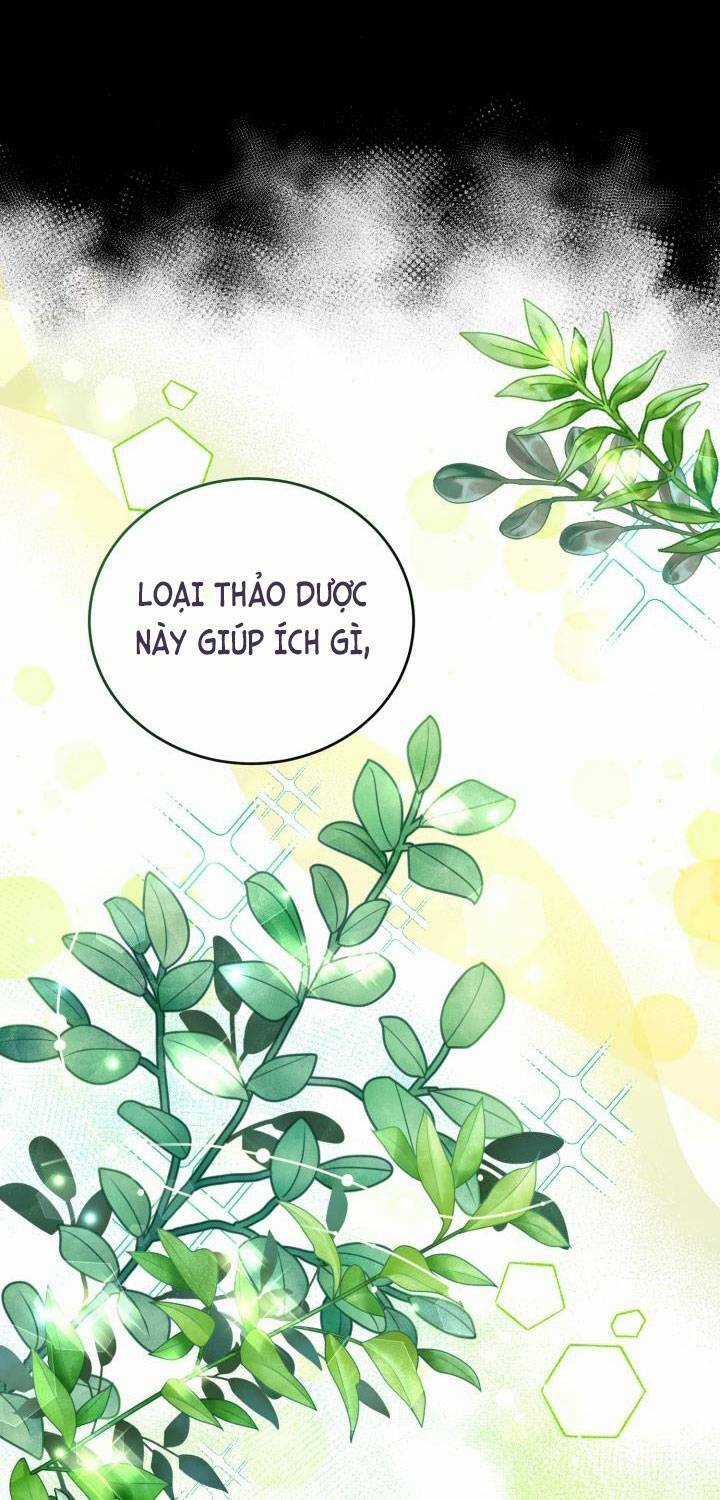 Công Chúa Dược Sĩ Bé Con Chapter 6 trang 23