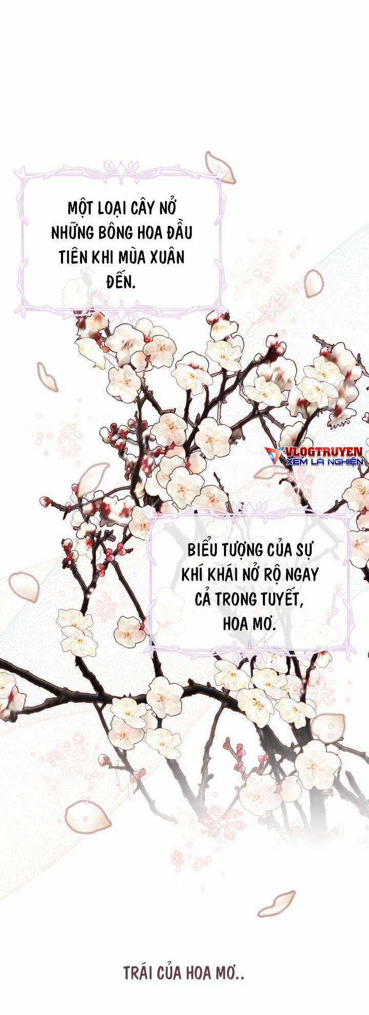 Công Chúa Dược Sĩ Bé Con Chapter 7 trang 28
