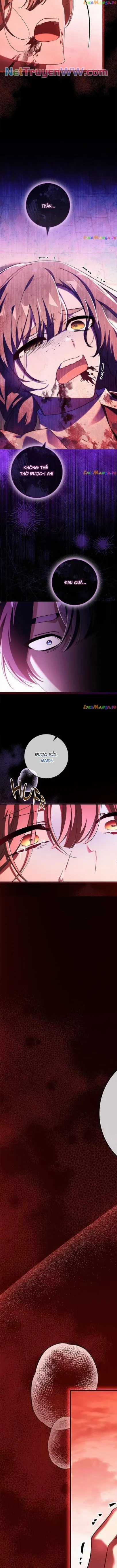 Công Chúa Gác Mái Chapter 71 trang 3