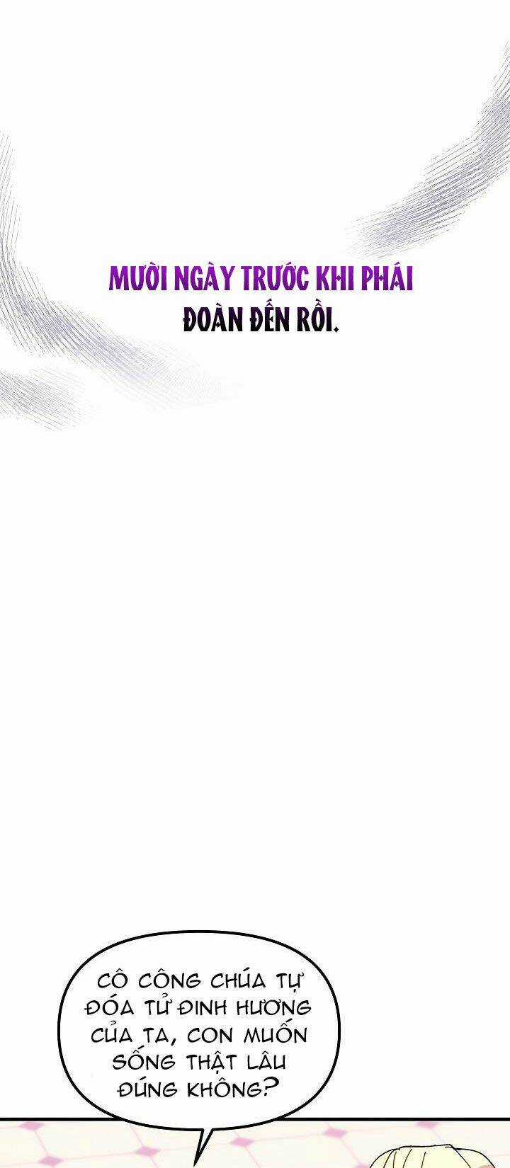 Công Chúa Giả Điên Chapter 5 trang 24