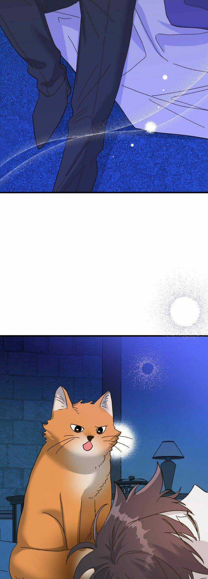 Công Chúa Giả Điên Chapter 56.1 trang 67