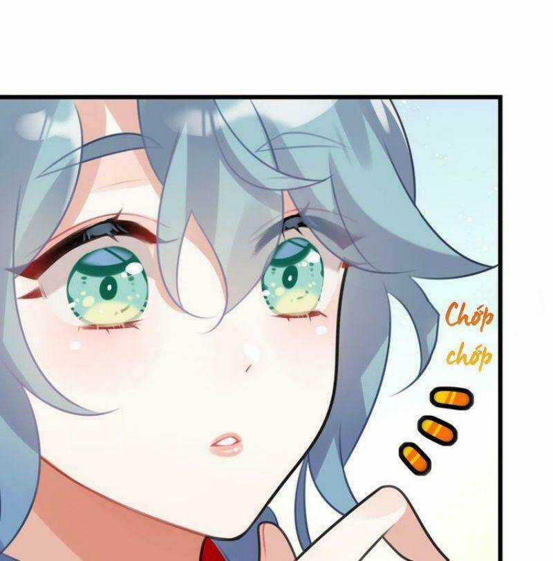 Công Chúa Hòa Thân Lần Này Không Tốt! Chapter 11 trang 13