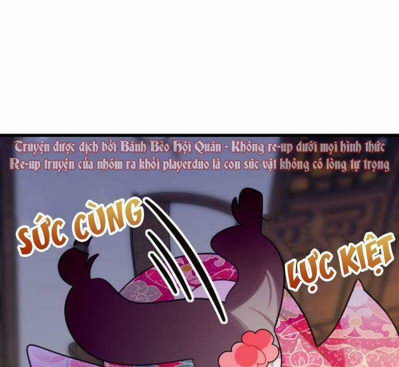 Công Chúa Hòa Thân Lần Này Không Tốt! Chapter 17 trang 12