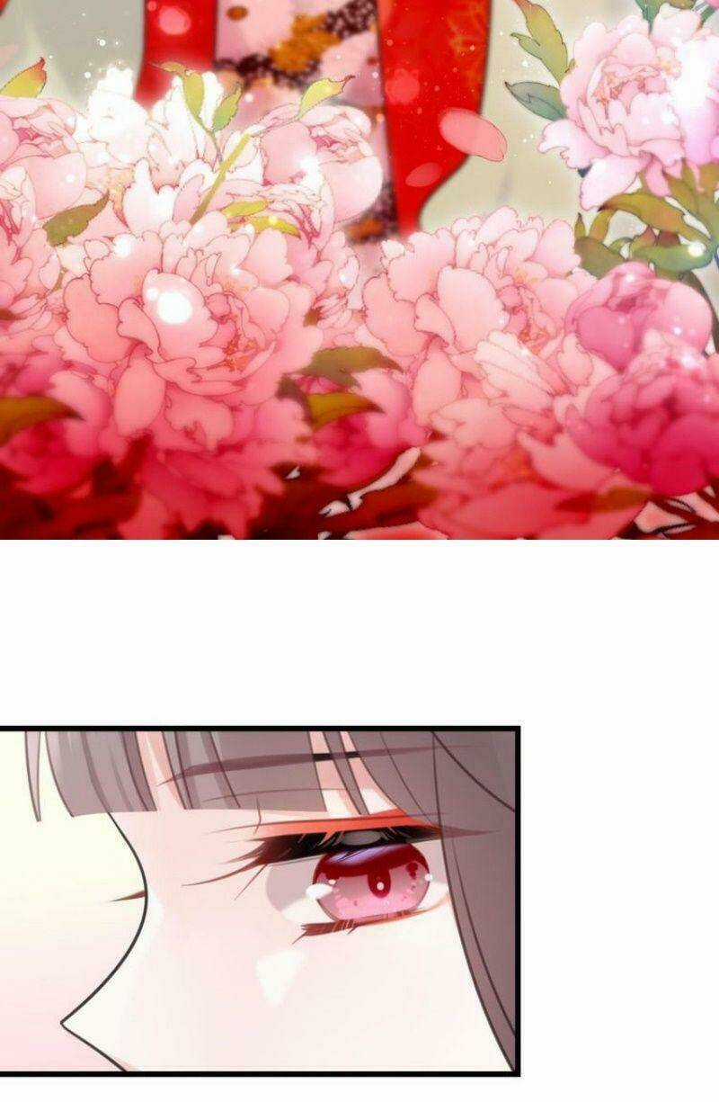 Công Chúa Hòa Thân Lần Này Không Tốt! Chapter 19 trang 5