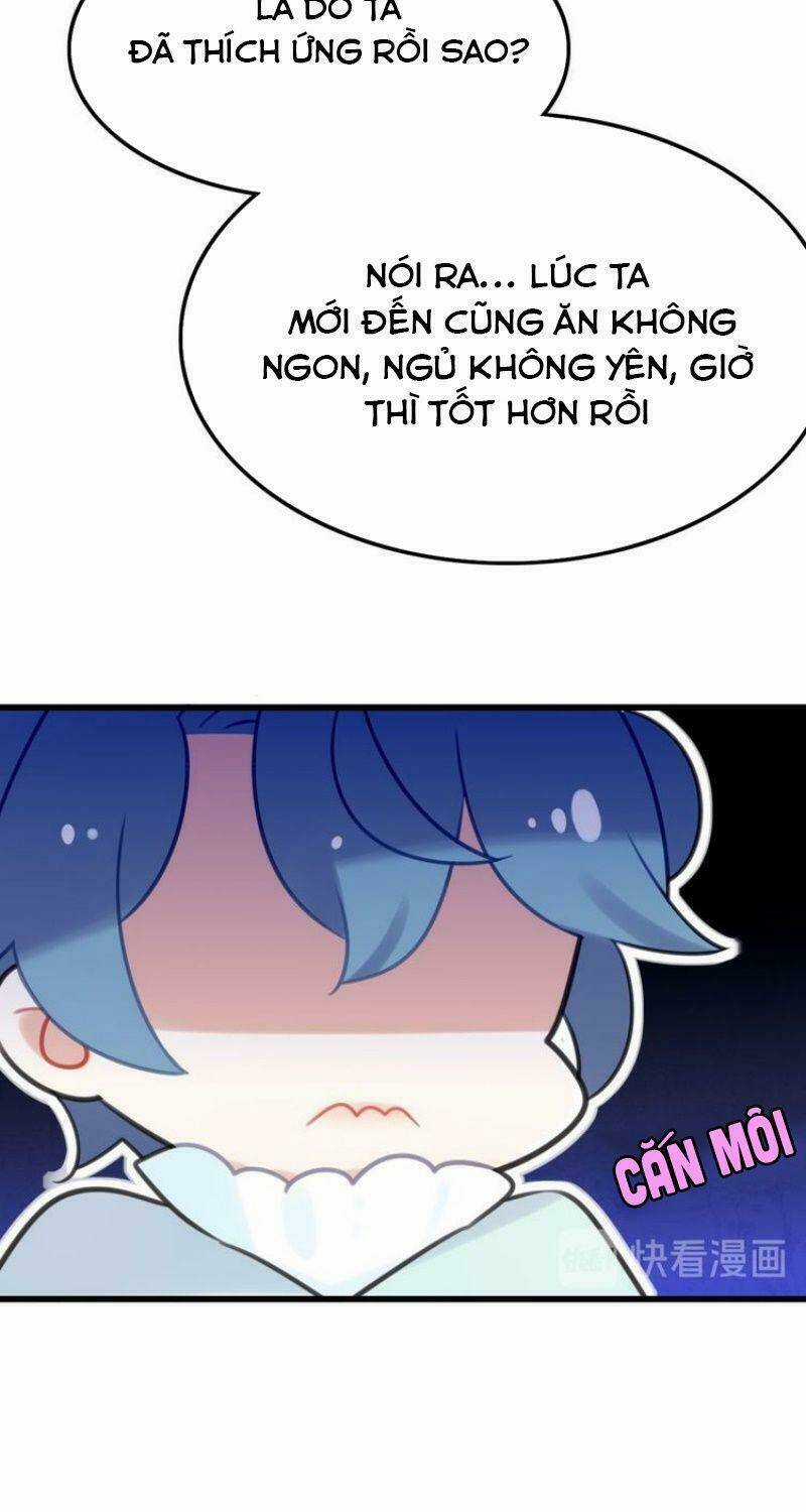 Công Chúa Hòa Thân Lần Này Không Tốt! Chapter 21 trang 49