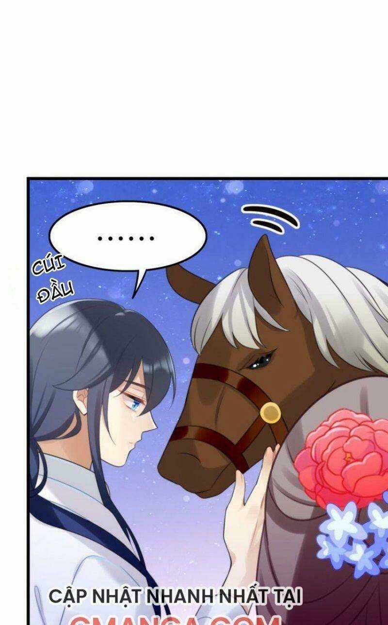 Công Chúa Hòa Thân Lần Này Không Tốt! Chapter 25 trang 11