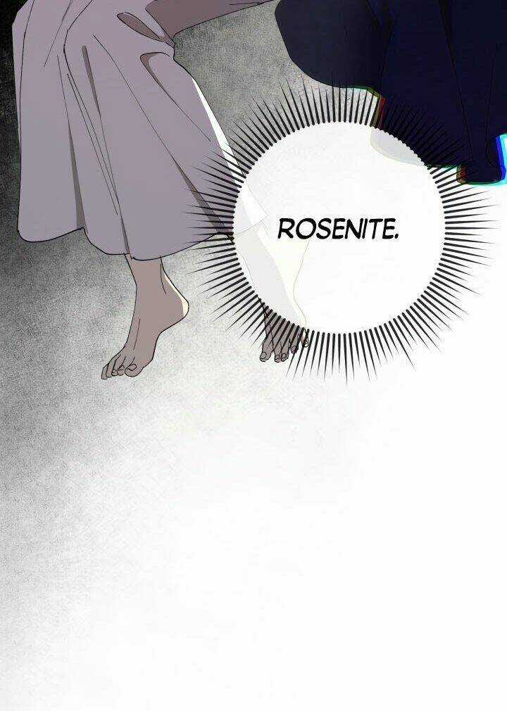 Công Chúa Khắc Dấu Lên Kẻ Phản Nghịch Chapter 5 trang 7