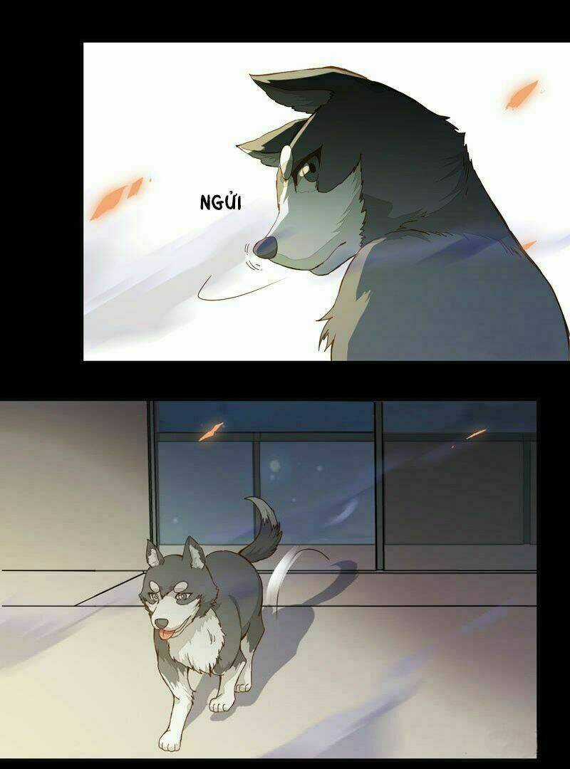 Công Chúa Là Nam Nhân Chapter 1 trang 26